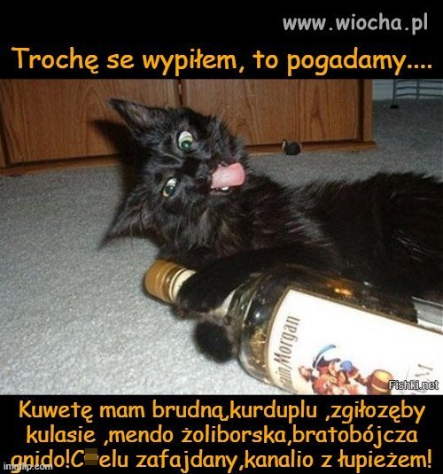 Dlacego warto chować