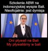 Oni pływali, my też 