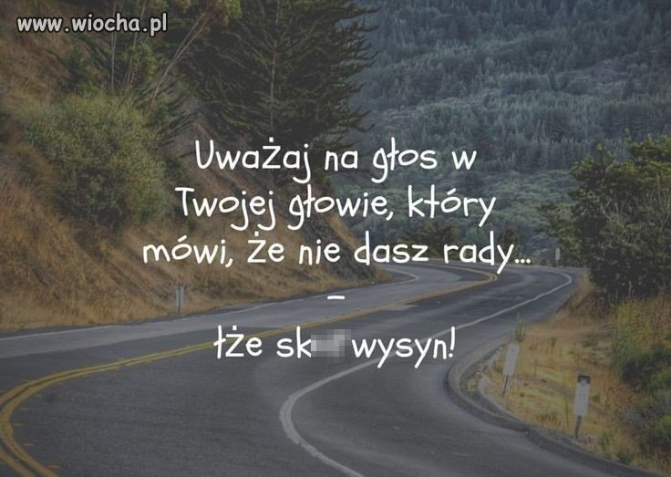 Dasz radę