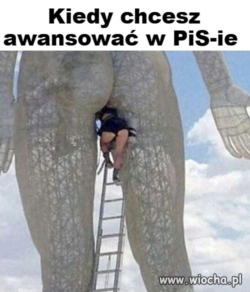 Co masz zrobić żeby awansować w PiS-ie ?