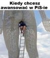 Co masz zrobić żeby awansować w PiS-ie ?