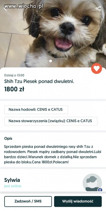 Bezuczuciowość ludzka przeraża