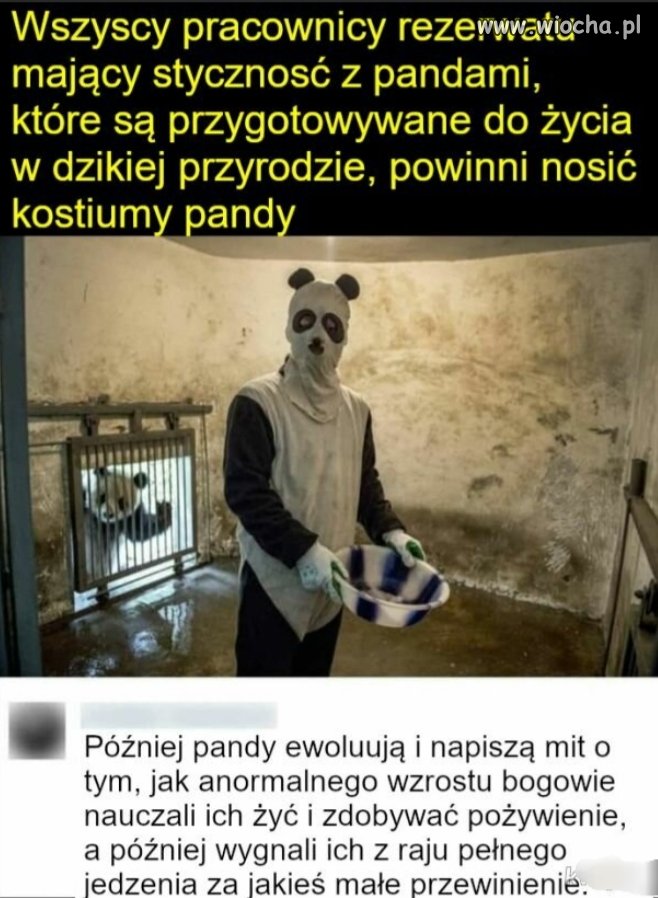 Pandy