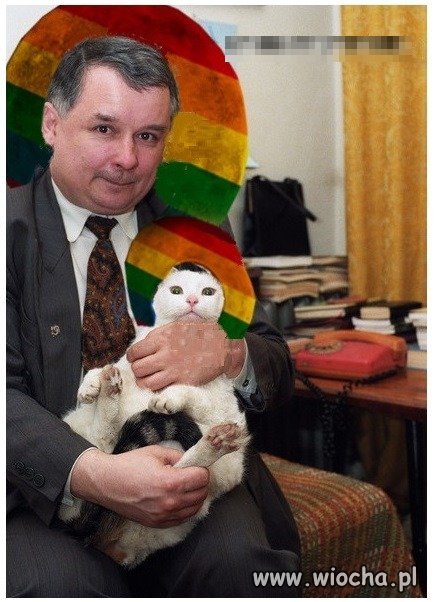 Dziewczyny uniewinnione. Tęcza nie obraża.