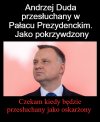 Czekam cierpliwie 