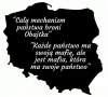 W skrócie