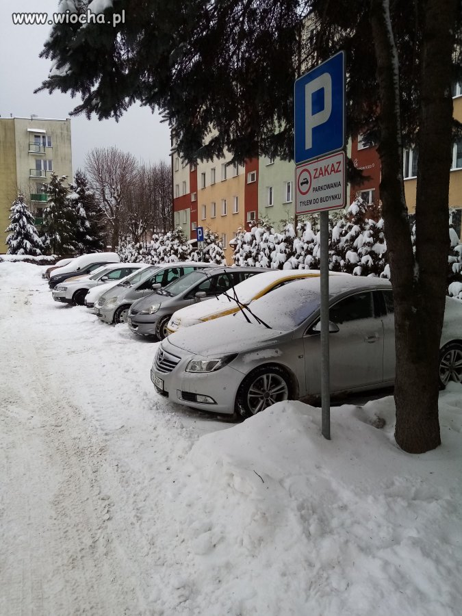 Zakaz parkowania tyłem 