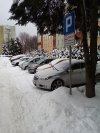 Zakaz parkowania tyłem 