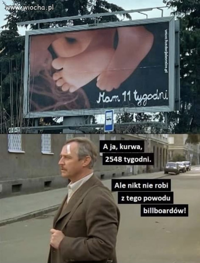 Każdy ma ileś tygodni 