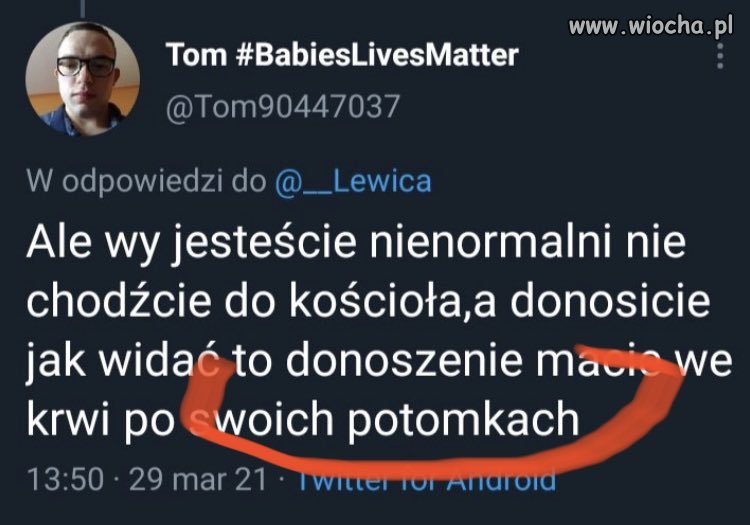 Wszyscy pisowcy od jednego przodka pochodzą;