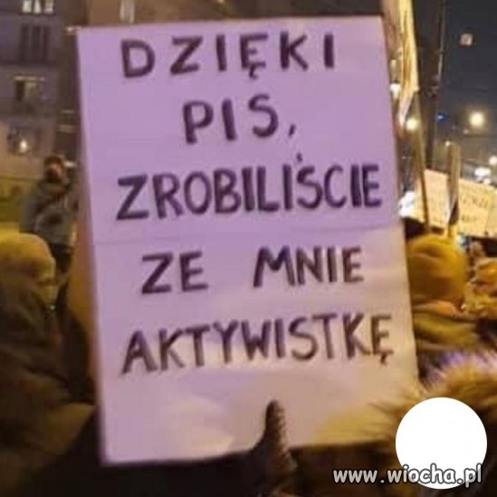 Tytuł zbędny