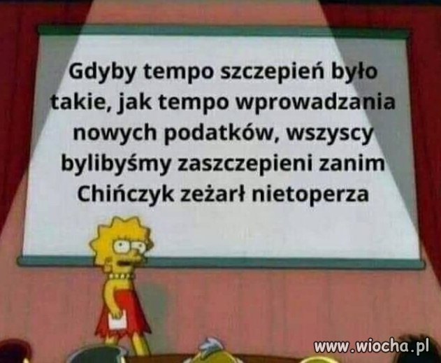 Niestety ta ekipa potrafi tylko jedno ...