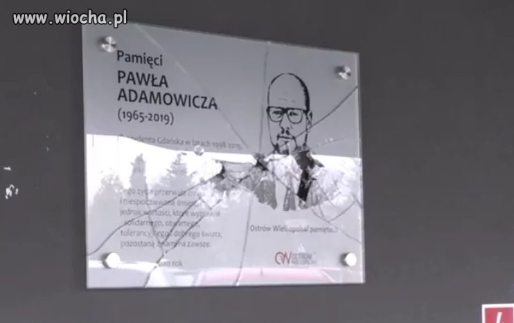 Oto dlaczego nienawidzę prawackich mend