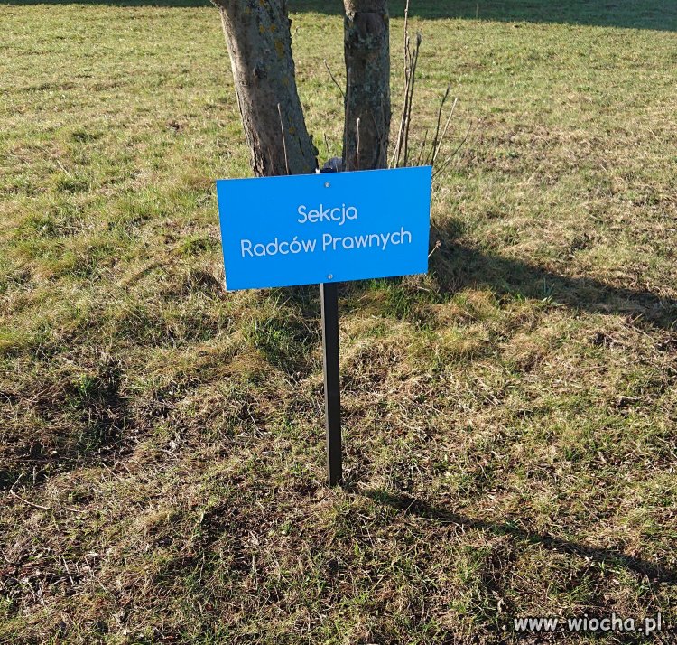 Nowe miejsca parkingowe VIP w gorzowskim szpitalu