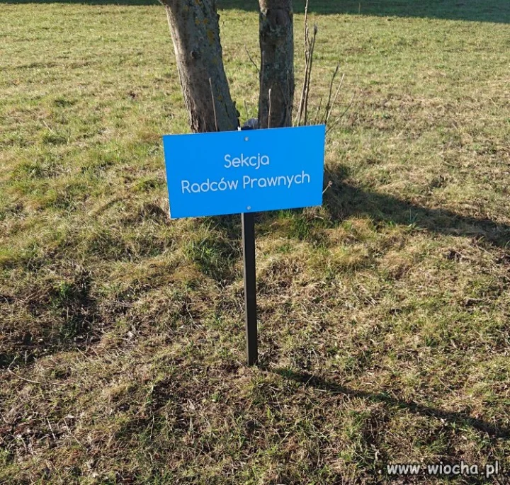 Nowe miejsca parkingowe VIP w gorzowskim szpitalu