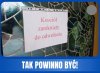 Właśnie tak !