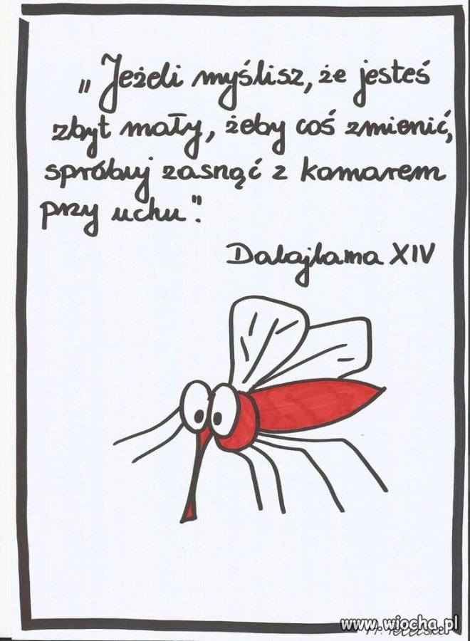 Fakt.