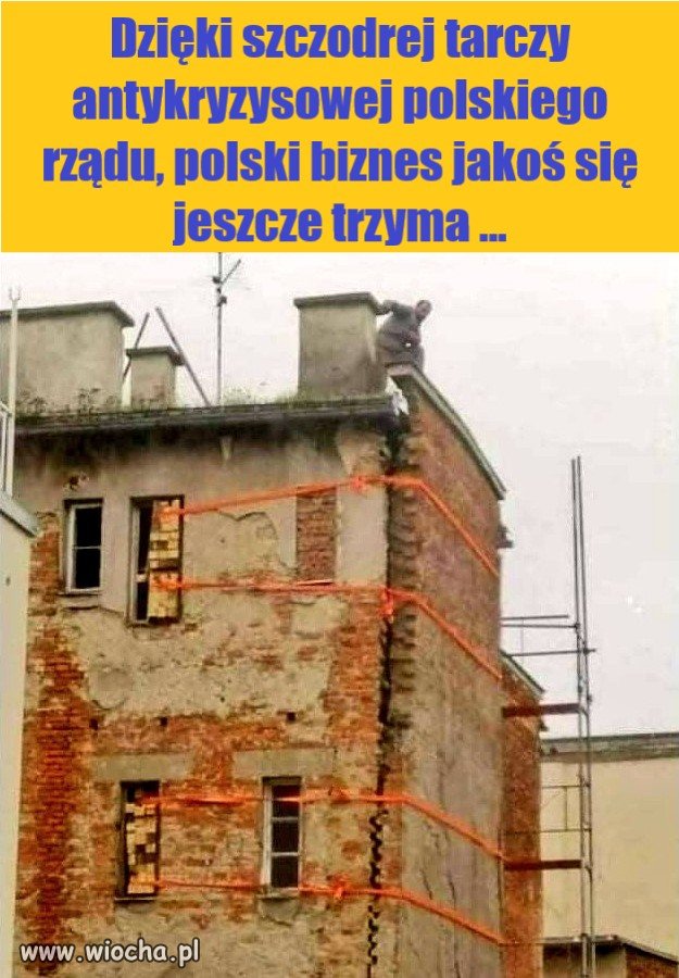Polski biznes ma się dobrze