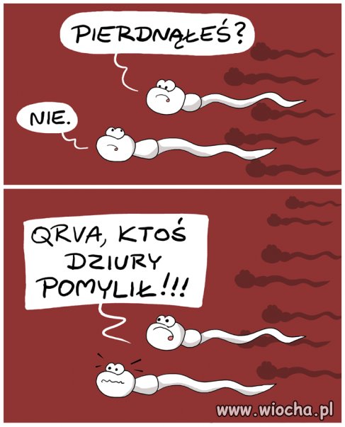 Pomyłka a może nie.