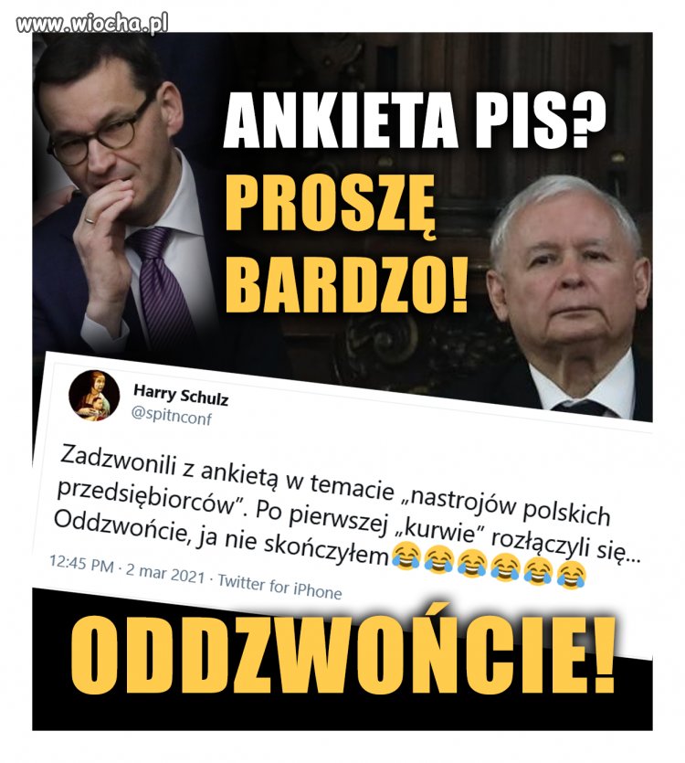 Ankieta