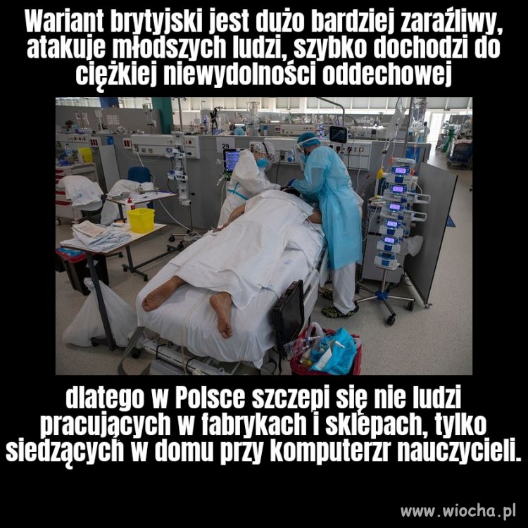 Kraj zarządzany przez idiotów