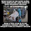 Kraj zarządzany przez idiotów