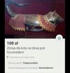 I kot Rzeczpospolitej lubi to.