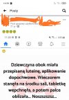 Brak tytułu