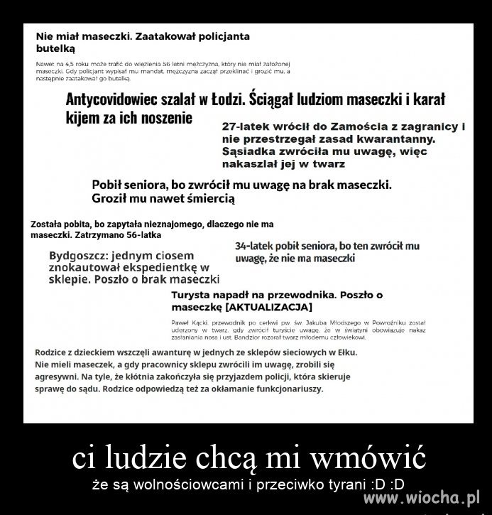 Wolnościowcy w akcji