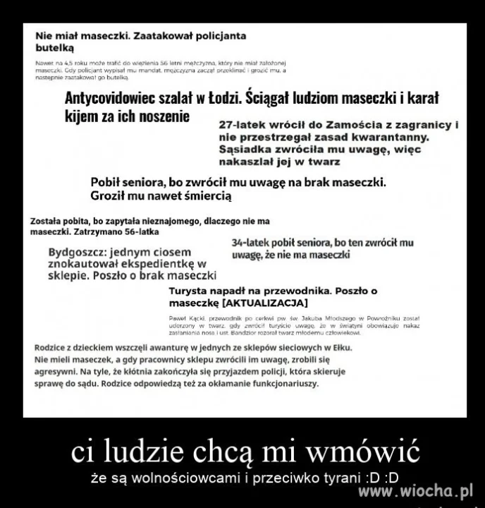 Wolnościowcy w akcji