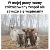Zgrany zespół to podstawa 