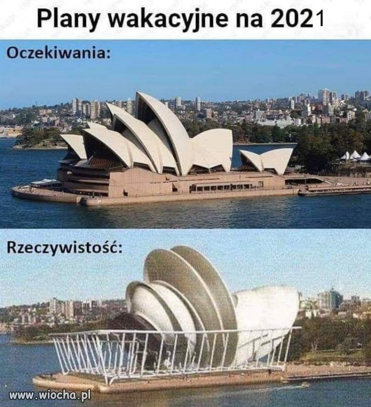 Plany wakacyjne. 