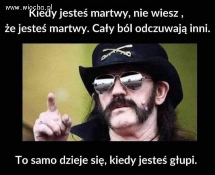 Pisiory nie zrozumieją