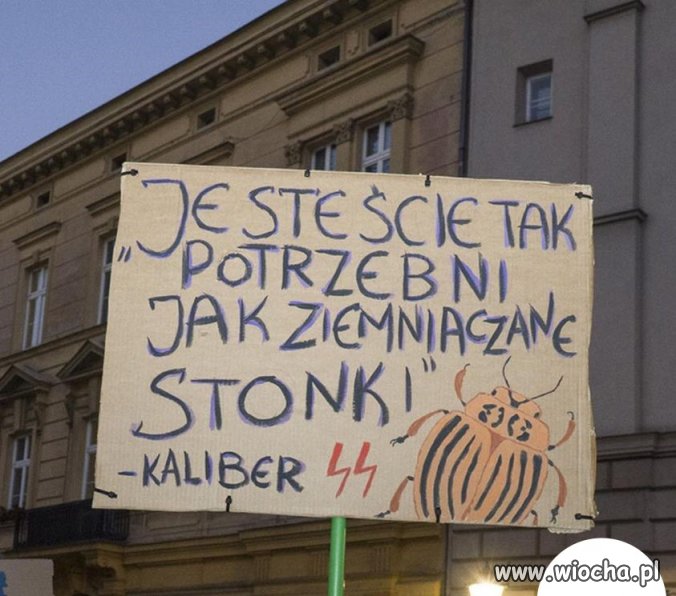 Tytuł zbędny