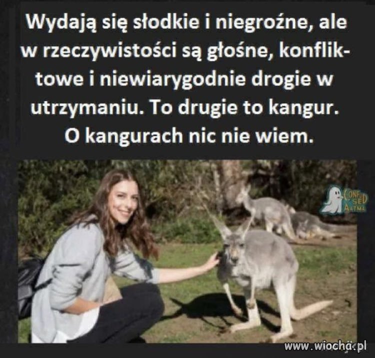Są słodkie i niegroźne?