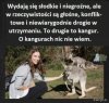 Są słodkie i niegroźne?