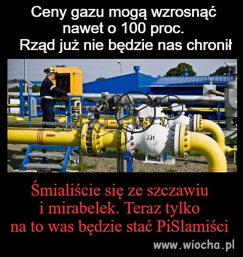 Śmiali się z Niesiołowskiego 