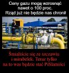 Śmiali się z Niesiołowskiego 