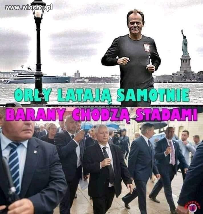 Nic dodać, nic ująć.