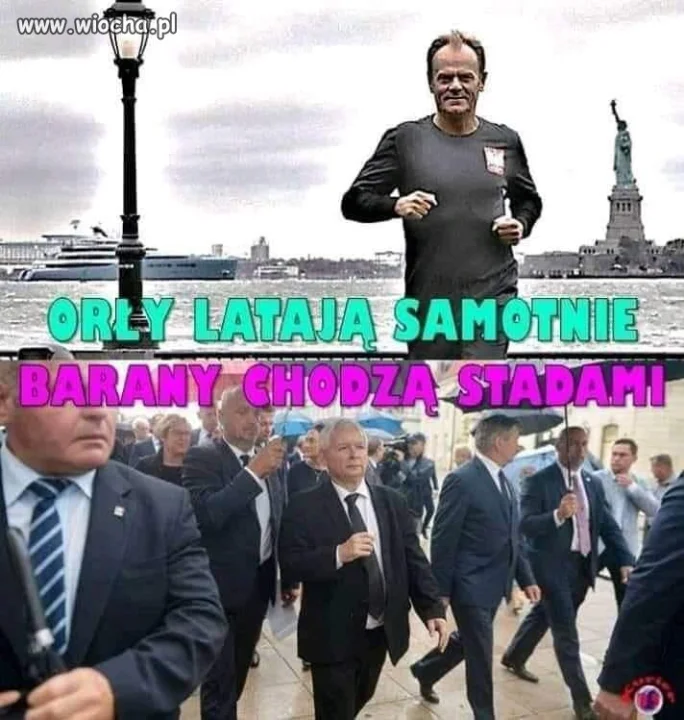 Nic dodać, nic ująć.