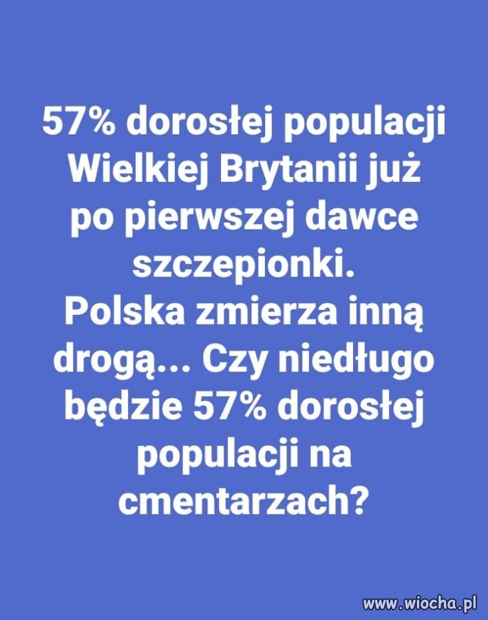Wykres 