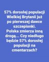 Wykres 