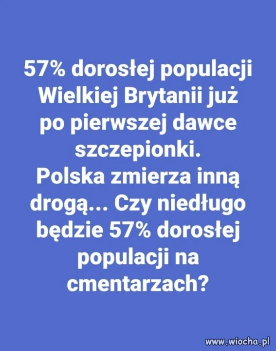 Wykres 
