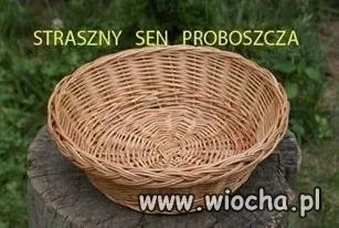 A święta...