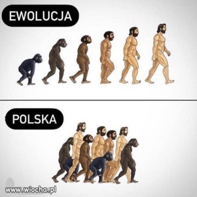 Neandertalczycy PiSu wyprzedzaja ewolucje...