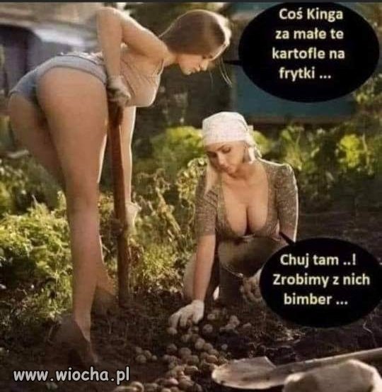Z cyklu ~bez żadnej polityki~