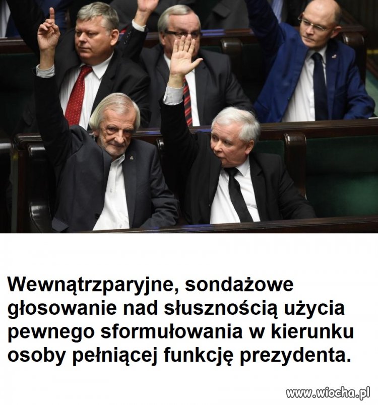 Sondaż- kto zgadza się z Żulczykiem?