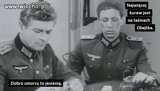 Kasztany...