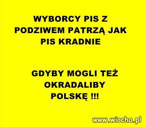 Można powiedzieć że złodziejstwo to polski sport 