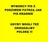 Można powiedzieć że złodziejstwo to polski sport 